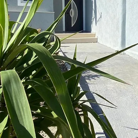 Asl House Wlora